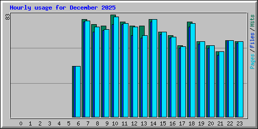 Hourly usage for December 2025