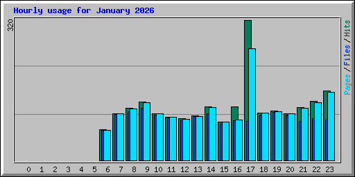 Hourly usage for January 2026