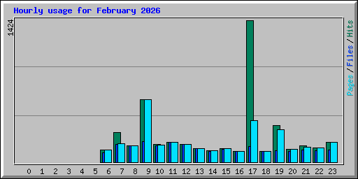 Hourly usage for February 2026